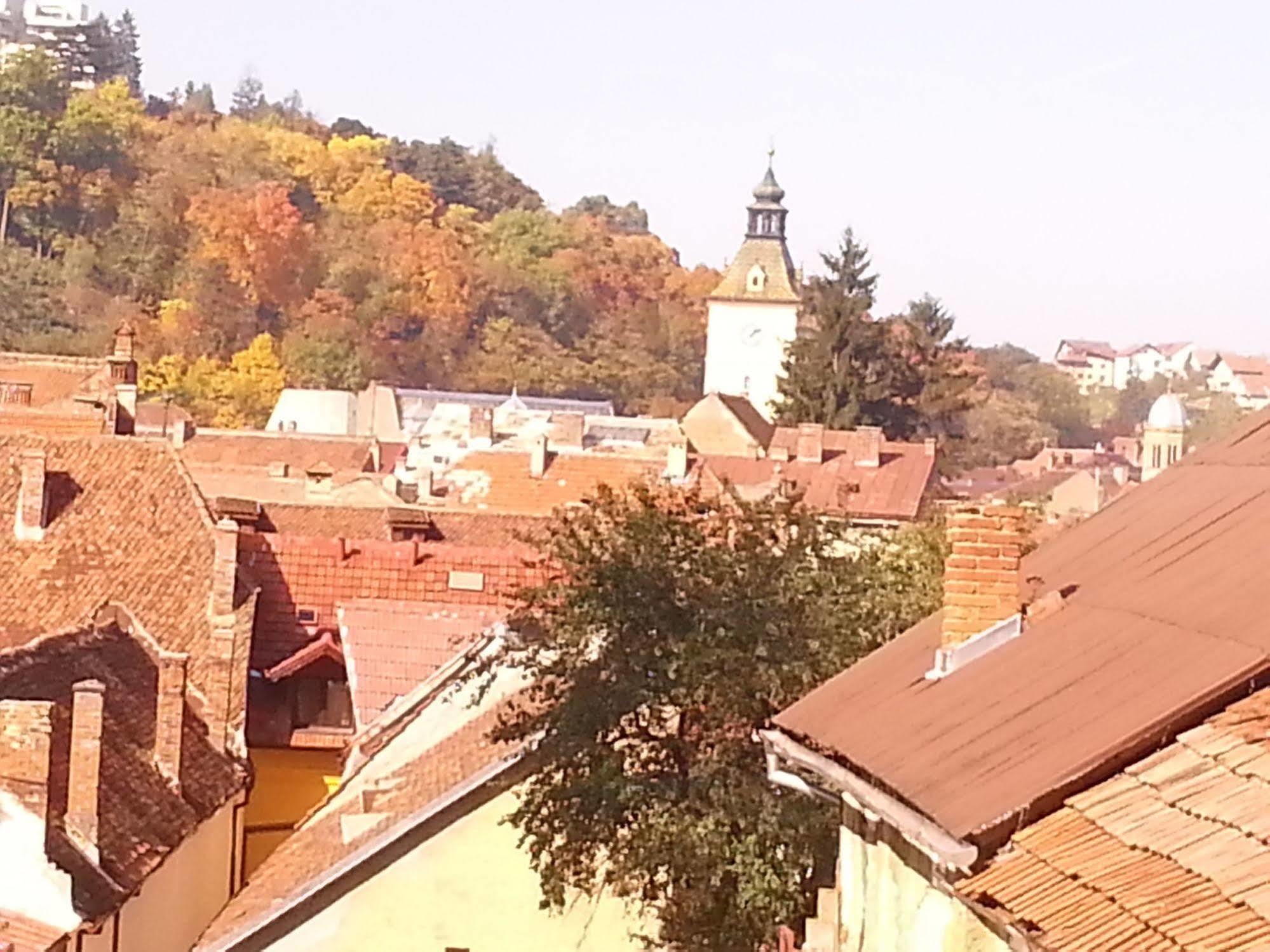 Hotel Natural Brasov Exterior photo